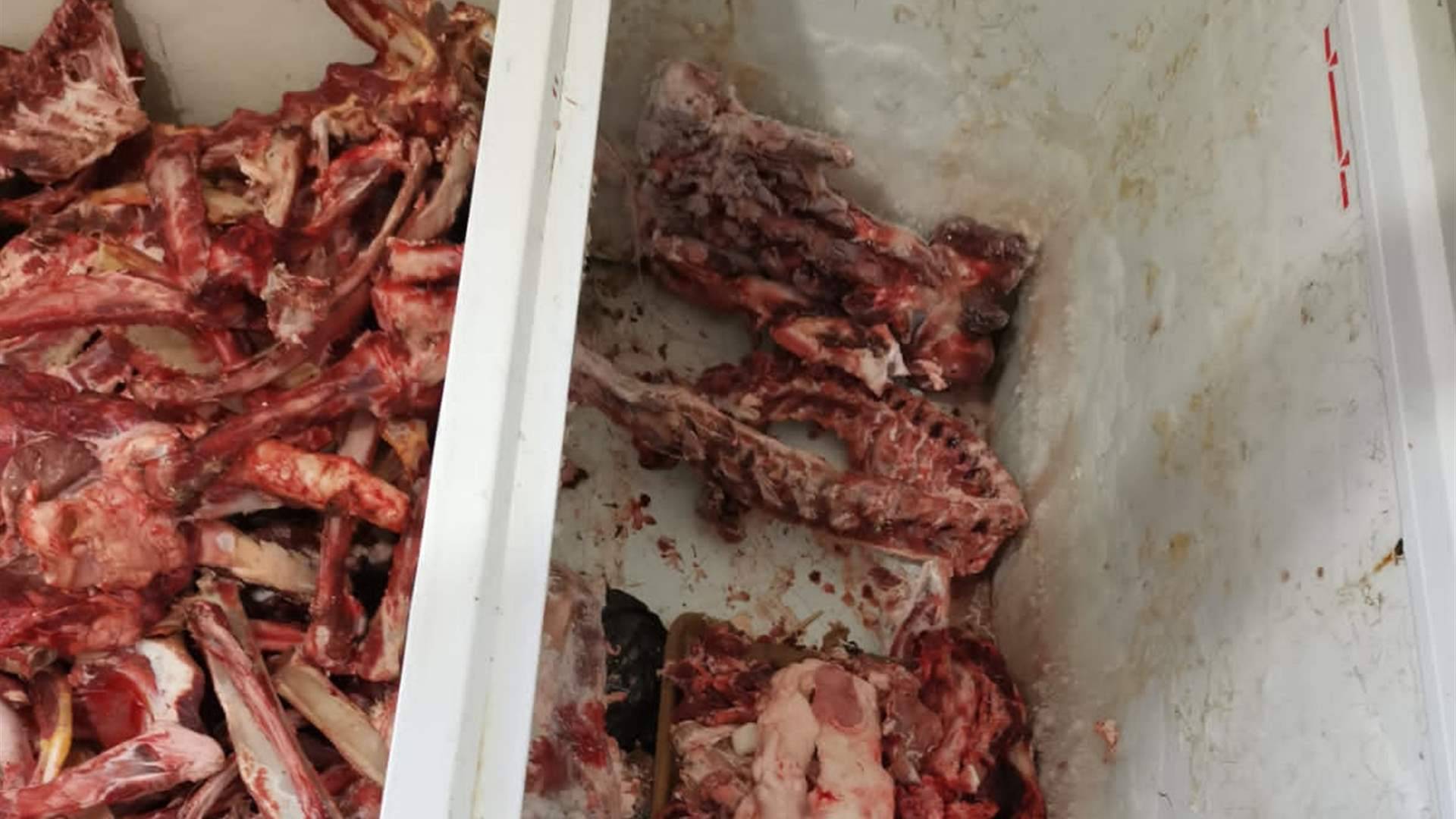 يذبحون الأغنام من دون التقيّد بالشروط الصحيّة... وأمن الدّولة توقفهم