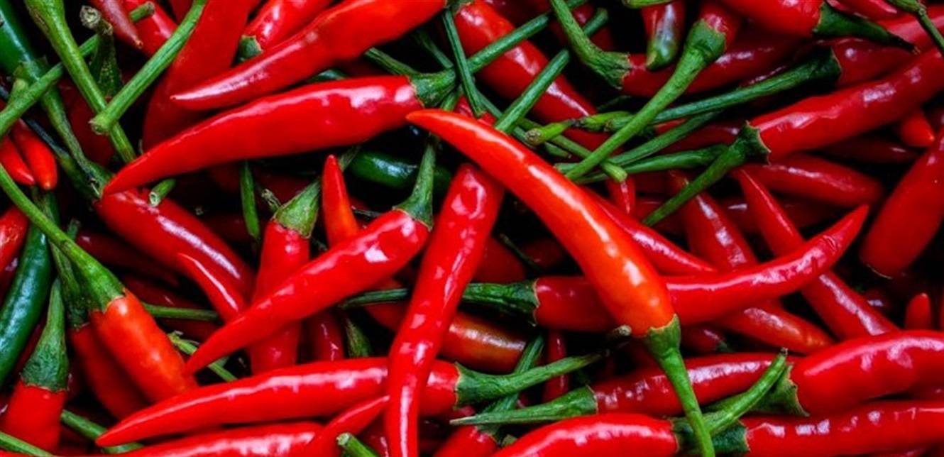 هذا النوع من الفلفل يحتوي مركباً فعالاً لعلاج 3 متحورات من كورونا