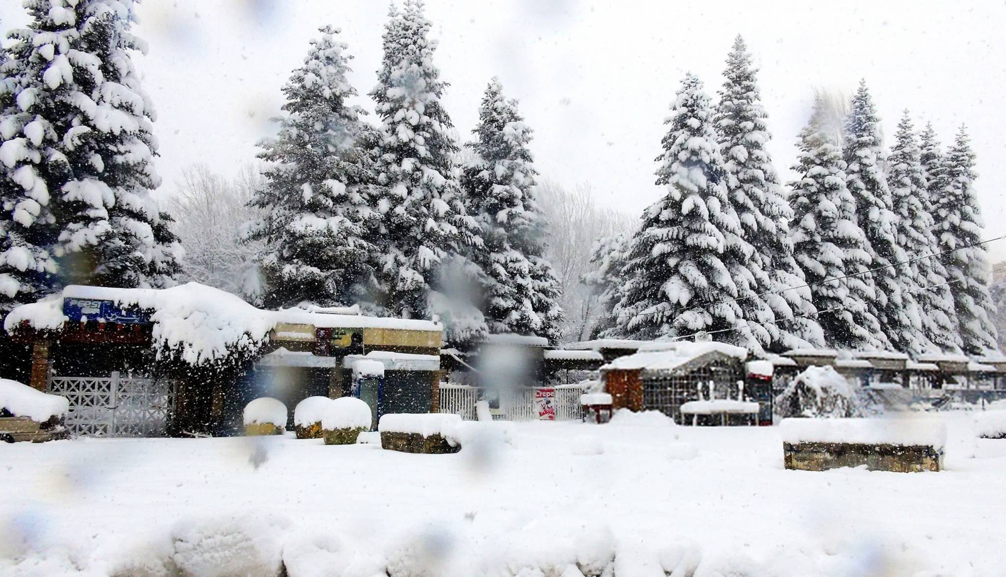 لبنان ينتظر المعلومات الرسمية للقاء باريس... ومعلومات عن تحرك قطري مرتقب
جلسة تشريعية مؤمنة بنصاب مريح الاسبوع المقبل لاقرار الكابيتال كونترول والتمديد للواء ابراهيم
ميقاتي يتحرك لنزع فتيل قنبلة المصارف والحريري في بيروت وبيت الوسط مفتوح للجميع