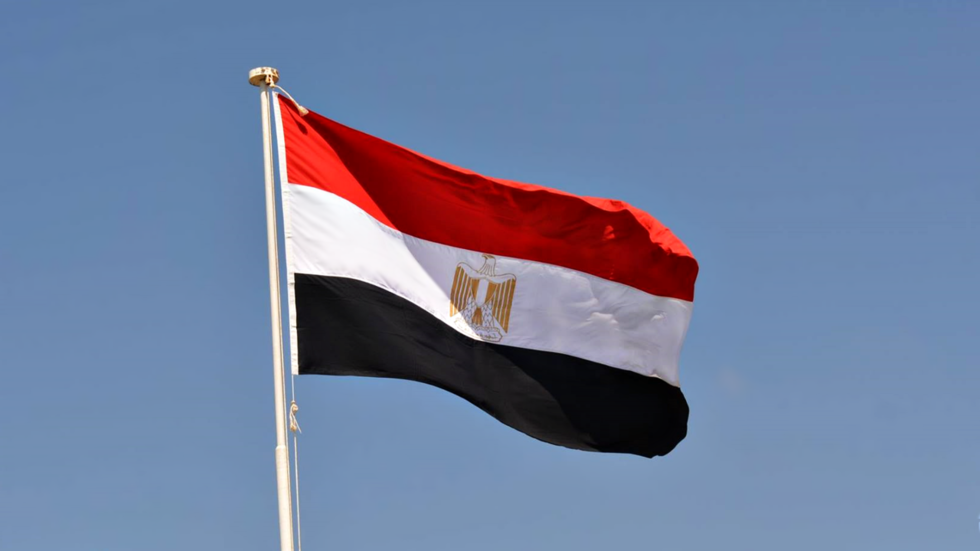 كالدس: إخفاقات صندوق النقد في مصر هي قصة تحذيرية
