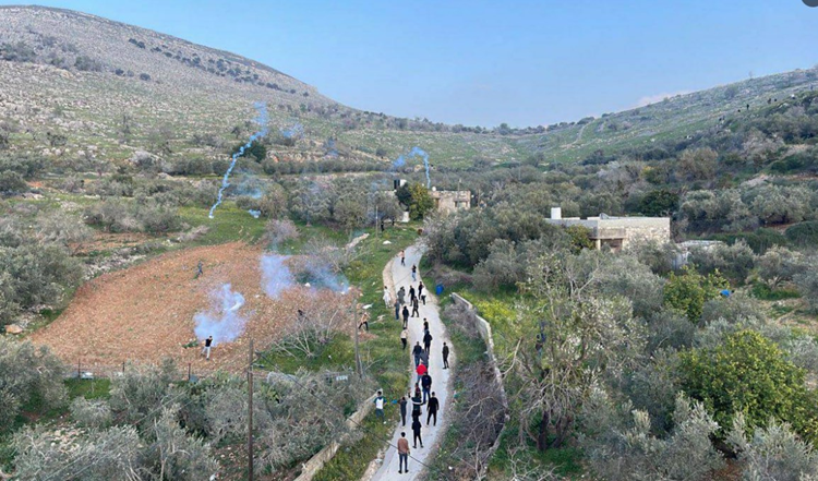 تنديد أوروبي بتصاعد عنف المستوطنين في الأراضي الفلسطينية المحتلة
