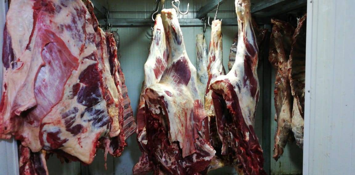 الأمن الغذائي في طرابلس والشمال: لحوم مشبوهة تباع باسعار زهيدة