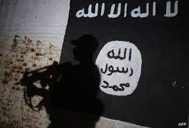 الجيش: توقيف شقيقين
اعترفا بانتمائهما الى 