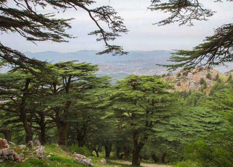 المحميّات الطبيعيّة كنز بيئي كبير... ماذا عن لبنان؟