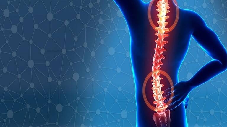 طبيبة عظام تتحدث عن المهن التي تشكل خطورة على العمود الفقري