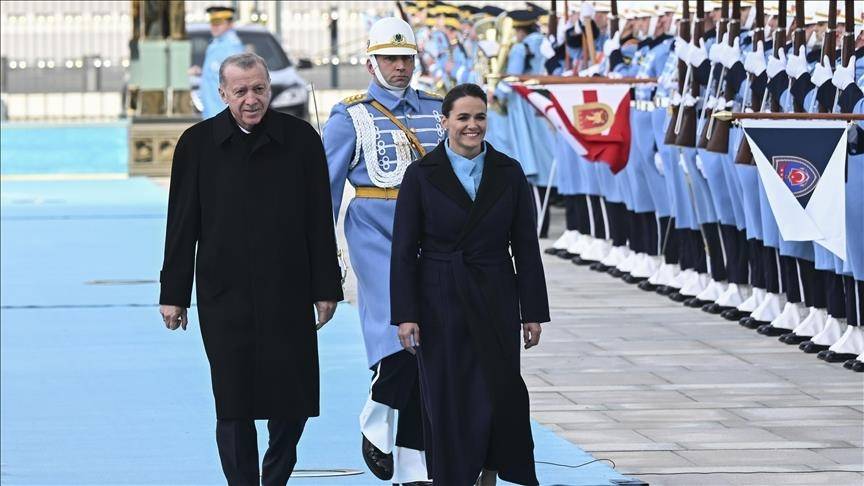 أردوغان: نريد إحلال السلام بين أوكرانيا وروسيا في أقرب وقت ممكن