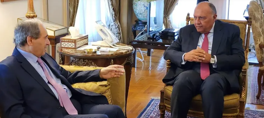 شكري: ندعم تسوية شاملة للأزمة السورية