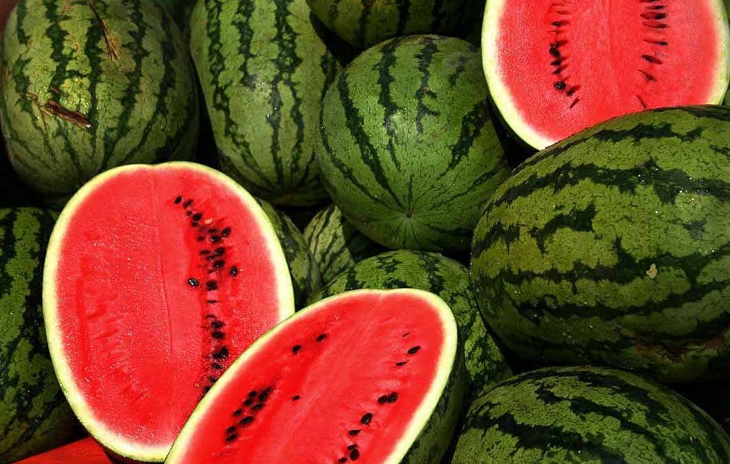 البطيخ هذا الموسم «للفرجة»... وفواكه لبنان الموسميّة حِكْر على الميسورين!
ترشيشي لـ «الديار»: لمراقبة الكميّات التي يتمّ إدخالها الى البلد لكي لا تسمح للتاجر بالتخزين والمتاجرة