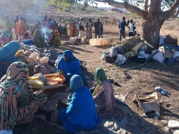 الأمم المتحدة تكشف عن عدد الفارّين من السودان إلى تشاد جراء تصاعد العنف