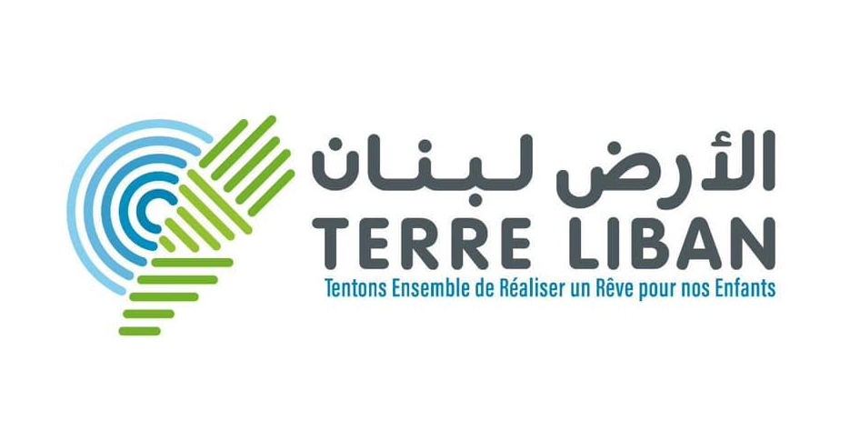 بالجرم المشهود.. توقيف تجار حطب لقطعهم اشجار صنوبر معمرة