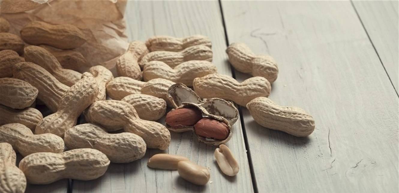 الفول السوداني.. كنز من الفيتامينات والمعادن
