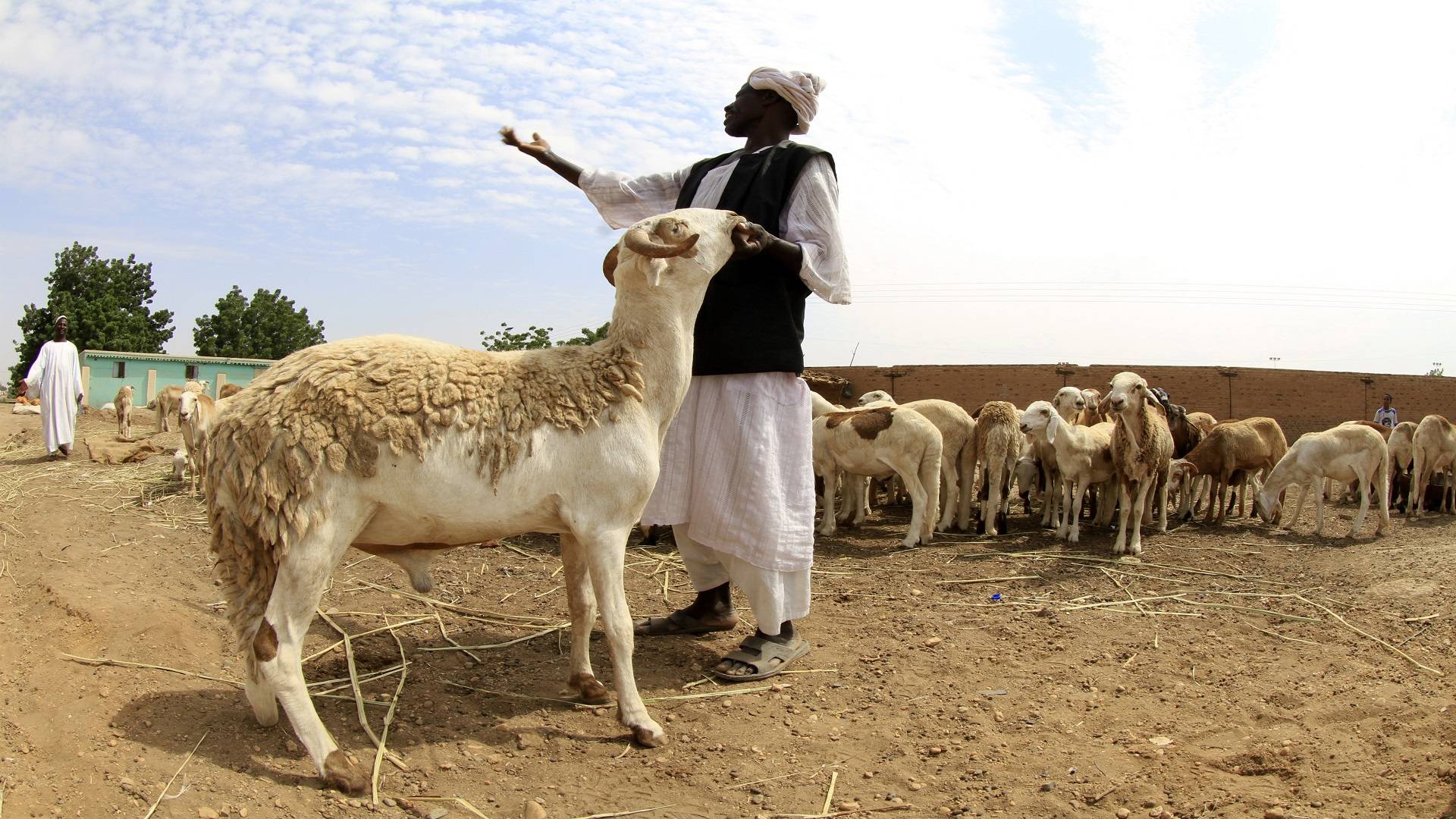 سلة الغذاء ومنجم الموارد... أرقام هائلة للإقتصاد السوداني
