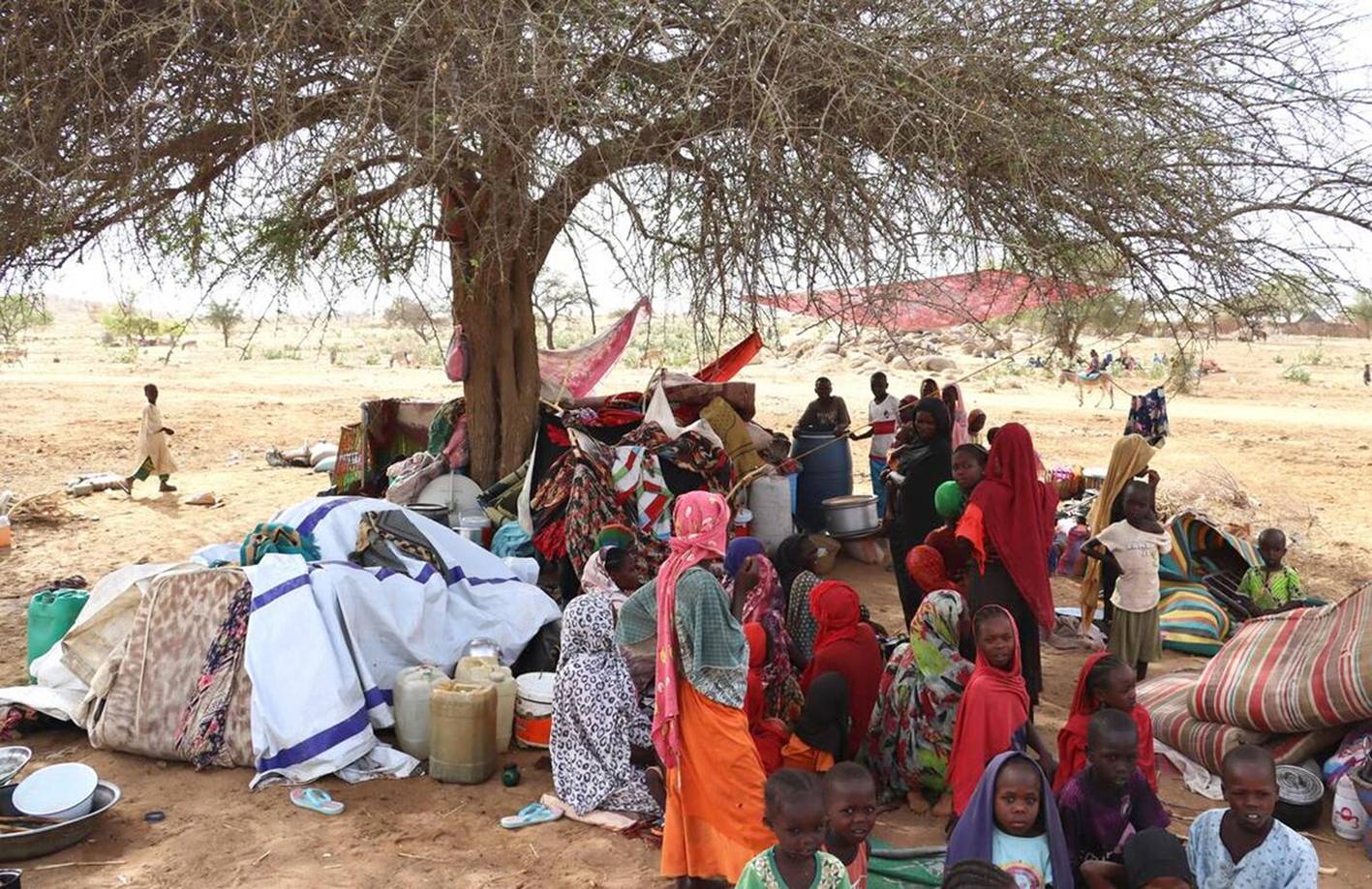عمليّات إجلاء الرعايا الأجانب من السودان تتواصل... والوضع الإنساني يتدهور
بلينكن قلق من دور «فاغنر»... و«إسرائيل» اقترحت وساطة بين البرهان وحميدتي