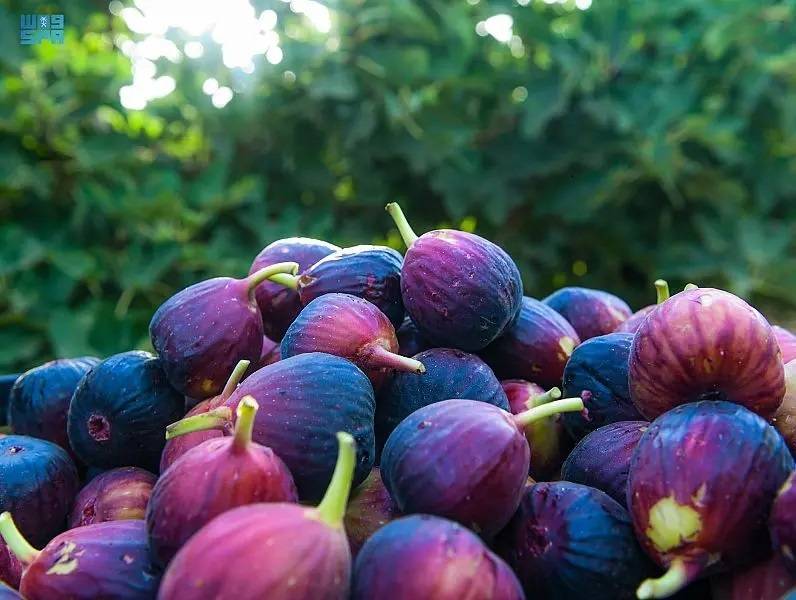 ما هي فوائد التين؟.. تعرّف على 5 منها
