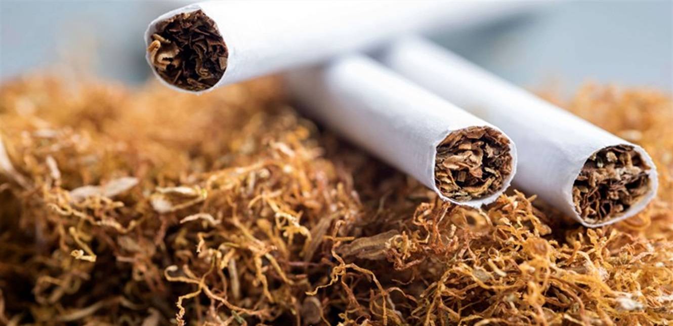كم بلغت أرباح "الريجي" لعام 2022؟