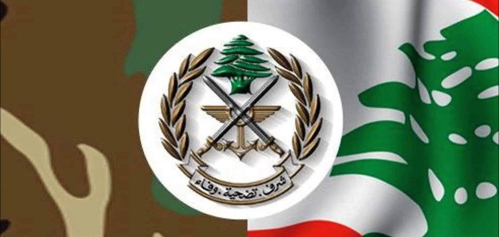 "داعشيان" في قبضة الجيش