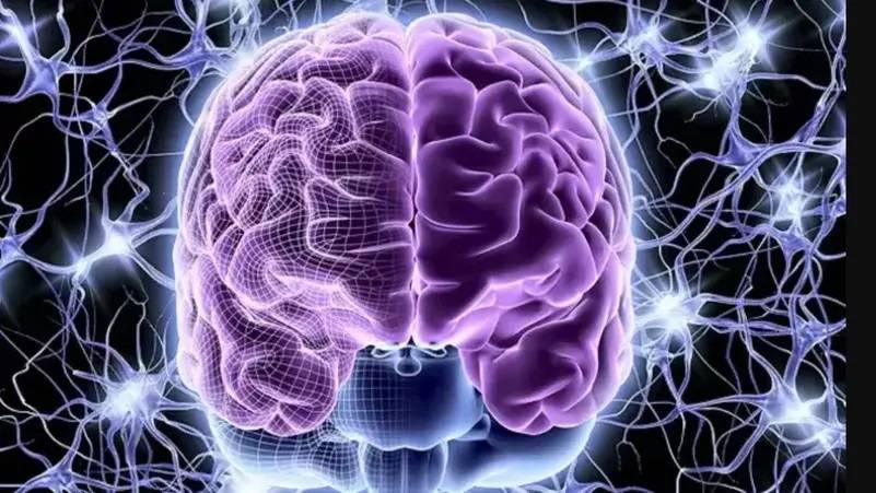 كيف يتعلّم الدماغ أشياء جديدة؟... هذا ما اكتشفه علماء الأعصاب