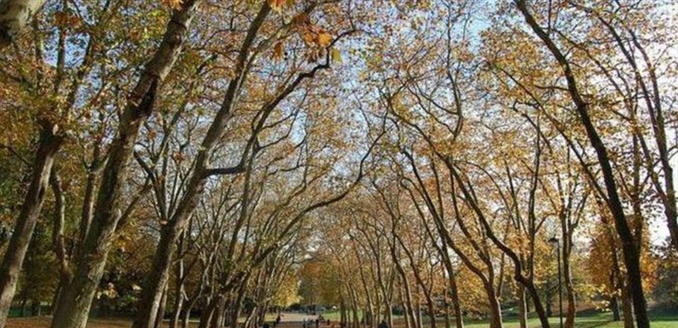 فصل دراسي في الهواء الطلق... اليكم التفاصيل