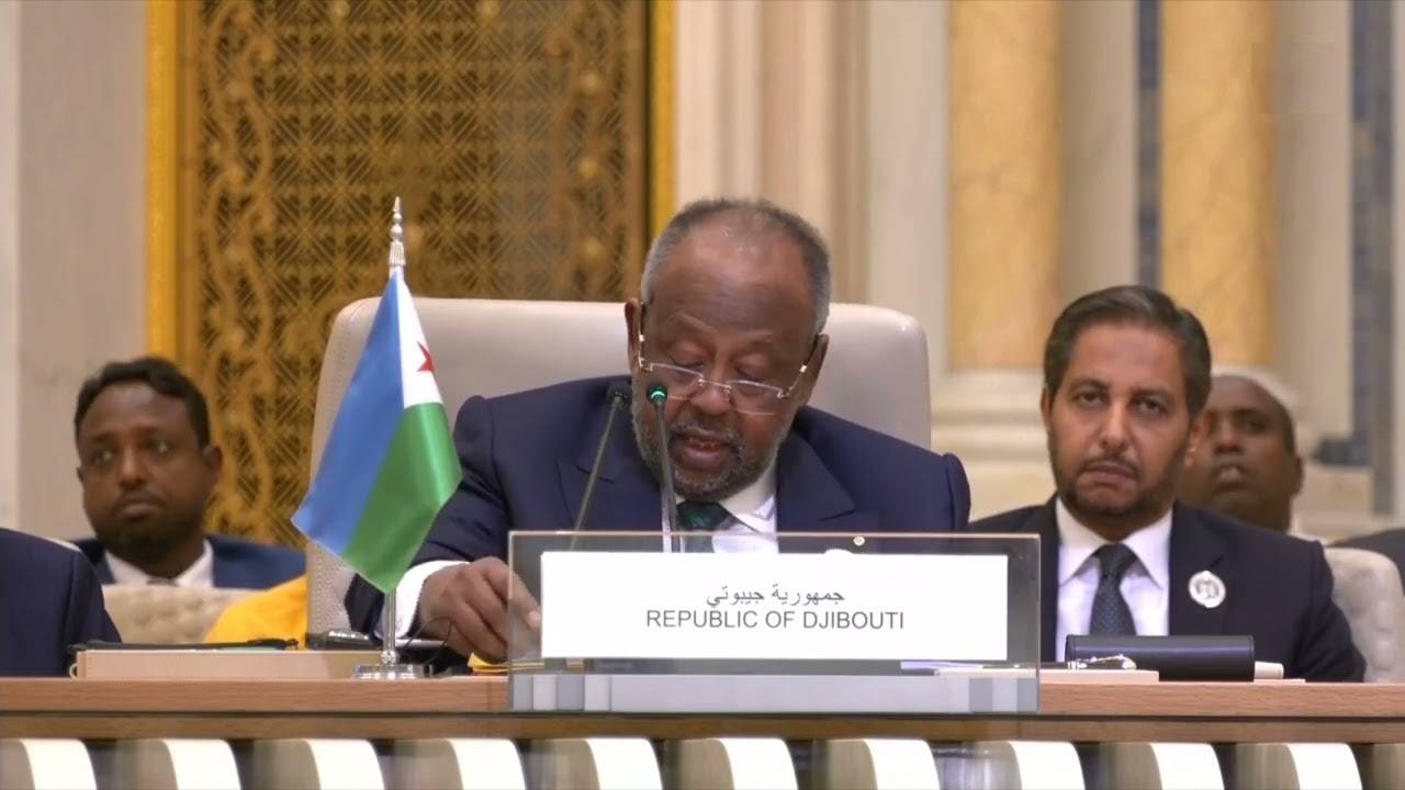 رئيس جيبوتي: لابد من مواقف عربية موحدة لمواجهة التحدّيات