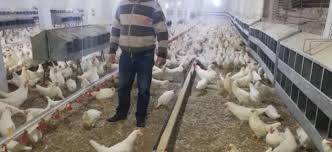 مربو الدواجن والطيور في بعلبك الهرمل:
لإلغاء أو تعديل خطة "تيسير" العربية