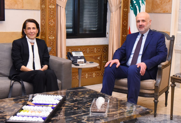 مولوي بحث مع حياة أرسلان ملف النازحين
واستقبل سفيري الأرجنتين وأرمينيا