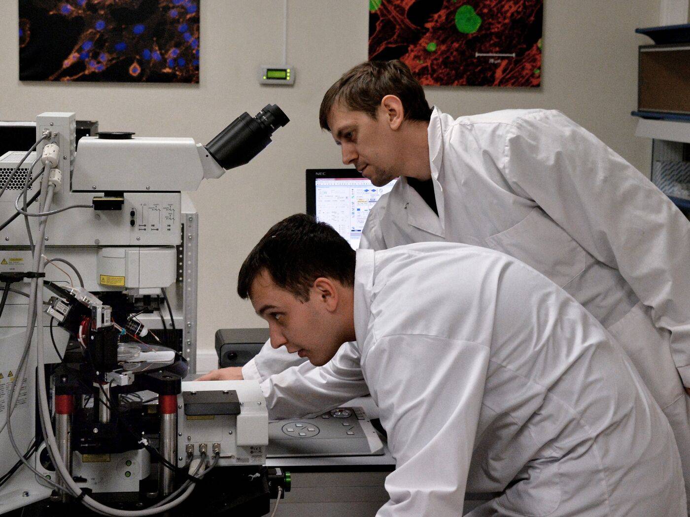 علماء يكتشفون 