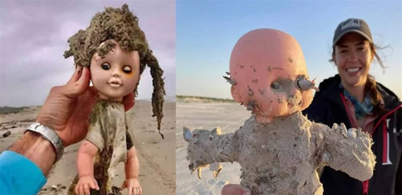 لعبة بالية عبثت بها الكلاب... اليكم ما حلّ فيها