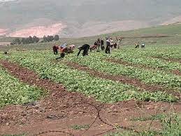 فياض تابع مع اسطفان انعكاس
كلفة الكهرباء على المزارعين
