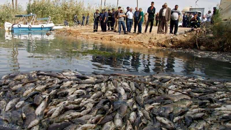 أزمة بيئية وصحية في البصرة... ماذا يحصل في العراق؟