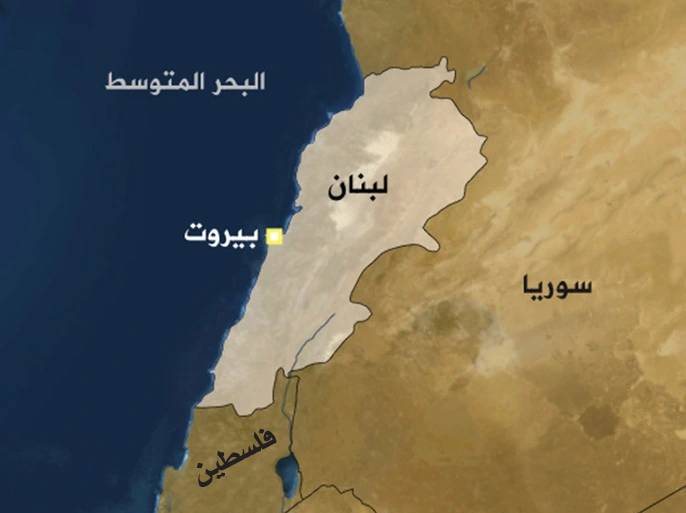 دولة على كتفيّ هيفاء وهبي