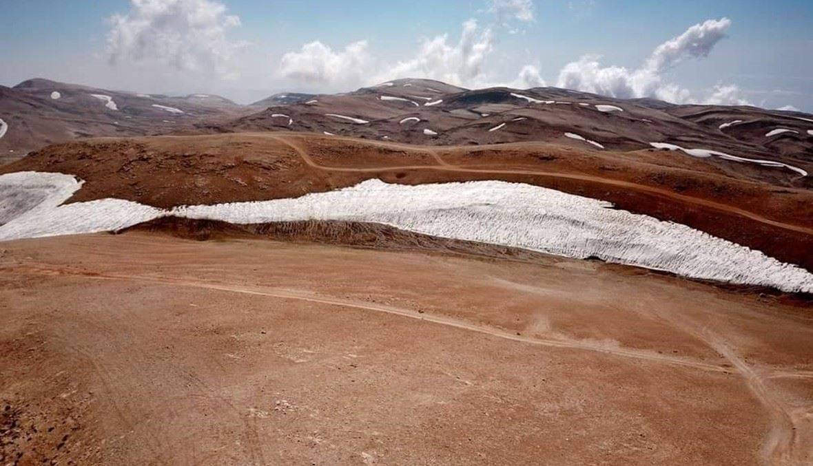 المتورطون بمقتل هيثم طوق في قبضة الجيش
