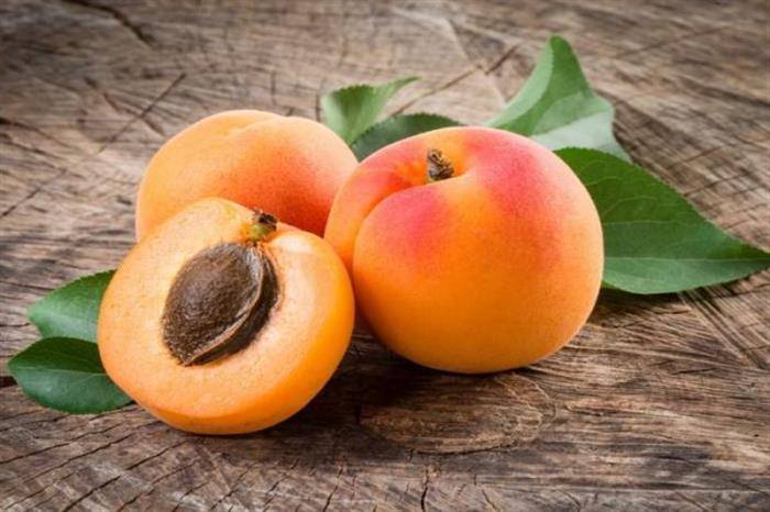 كيف يؤثّر المشمش على القلب؟