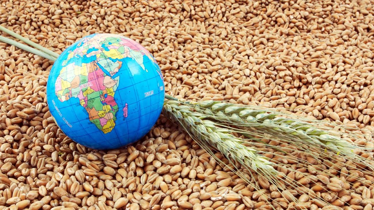 صندوق النقد الدولي: إنهيار إتفاق الحبوب يفاقم أزمة الأمن الغذائي العالمي