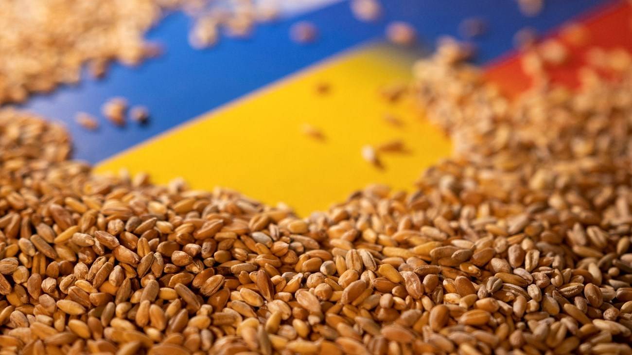 إتفاقية الحبوب... روسيا: العمل من دوننا مستحيل