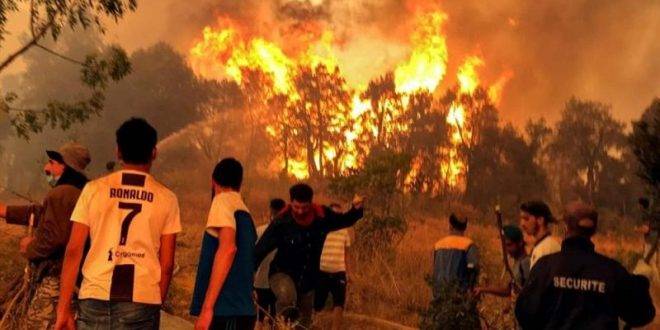 جرحى وقتلى بحرائق غابات في الجزائر