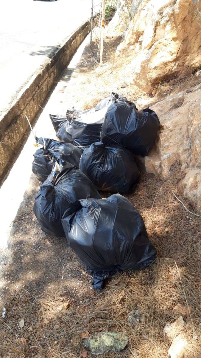 حملة بيئيّة في الشوف بتوجيه من جنبلاط