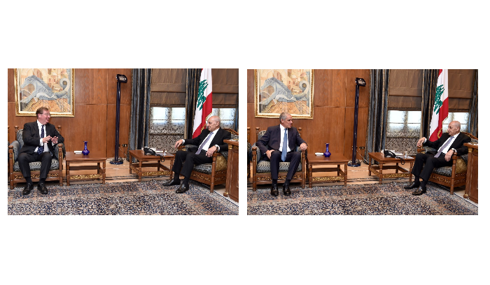 لقاءات بري