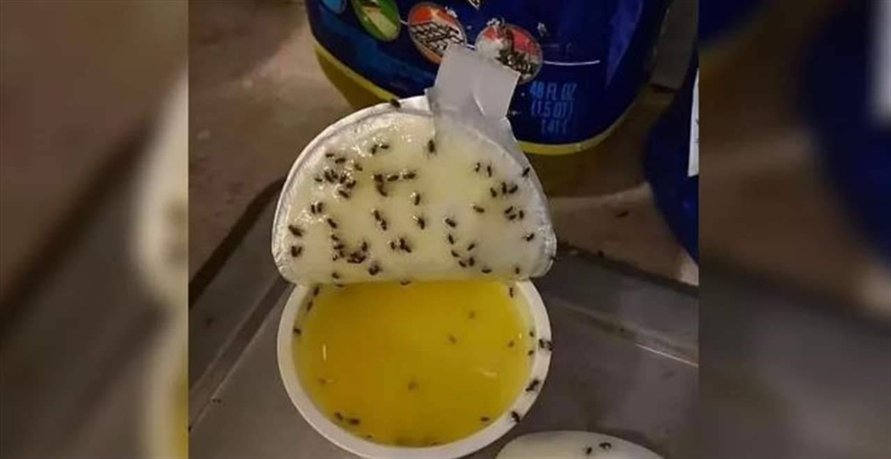بمكون موجود في المطبخ.. حيلة غريبة للتخلص من البعوض
