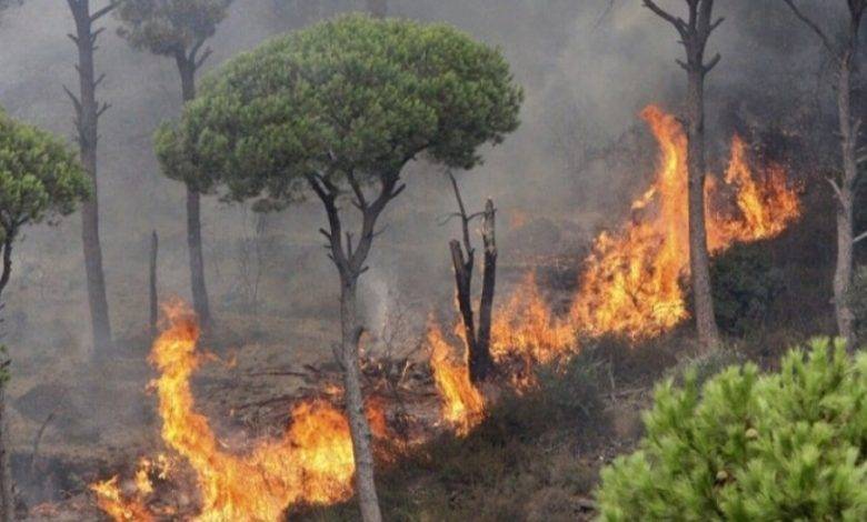 لبنان على موعد مع سلسلة من الحرائق بسبب التغيّر المناخي.. فهل يتكرر سيناريو عام 2019؟