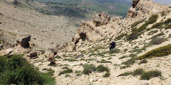 تمارين تدريبية وتفجير ذخائر في عدد من المناطق