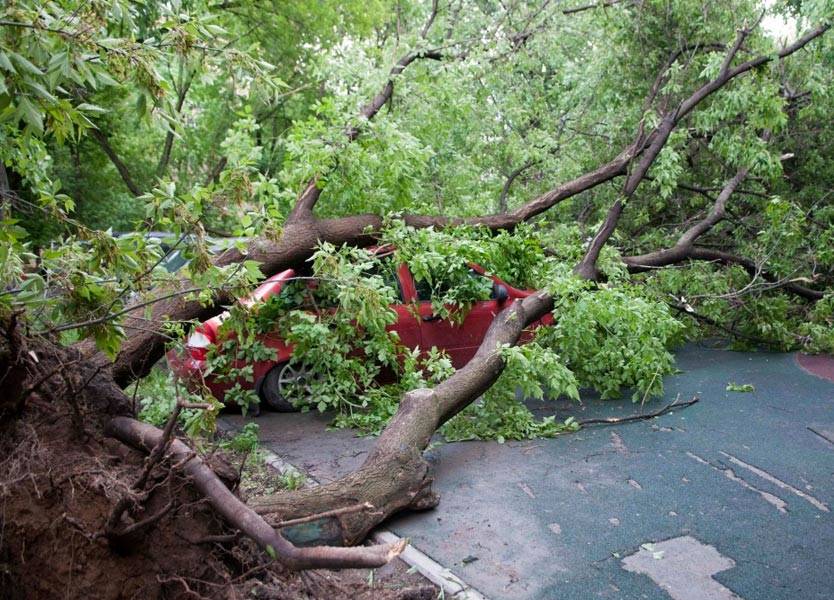 قتلى وجرحى جراء عاصفة قوية ضربت ميشيغان