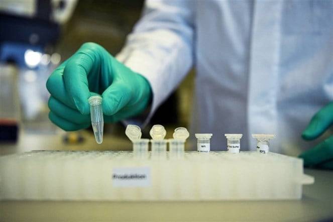 قد تحل مشكلة العقم لدى الرجال... علماء يفكون لغز الكروموسوم «واي»