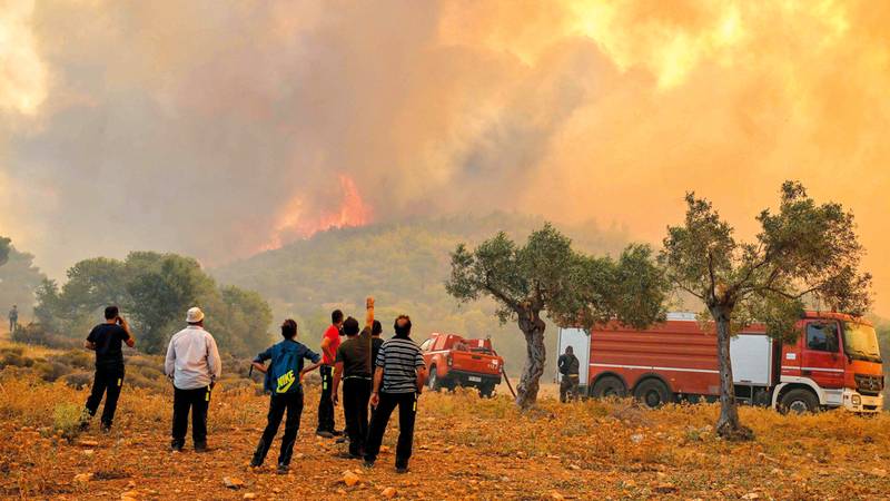 مستمر منذ 10 أيام... اليونان تواجه صعوبة في السيطرة على حريقها