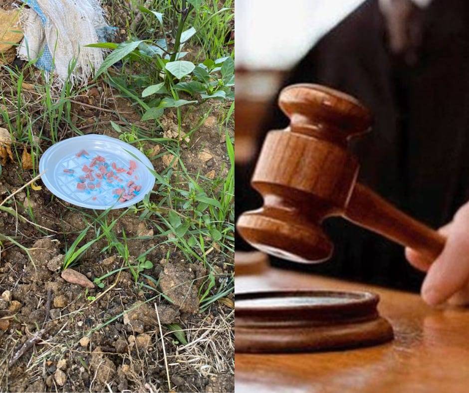 جريمة مزدوجة في الكحالة بحق أبقار وكلاب: تسميم في وضح النهار… وترقب لقرار القاضي ليشع