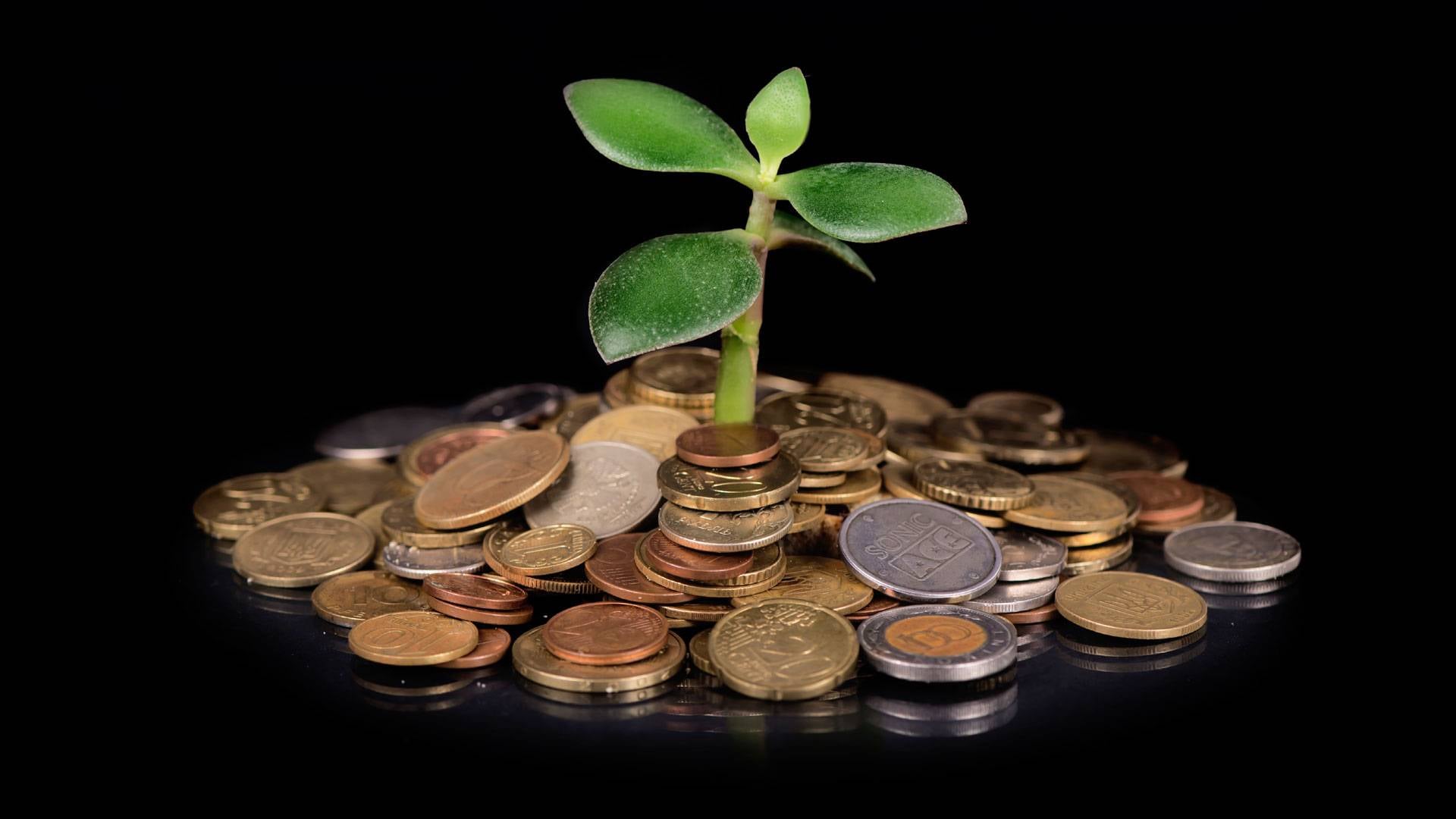 اقتصاد العالم يتكبّد خسائر بـأكثر من 400 مليار دولار سنويًا... والسبب؟