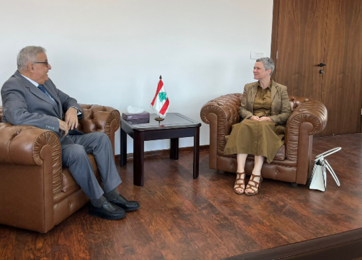 دو وال باشرت مهامها:
أتطلّع الى العمل لوضع
لبنان على طريق التعافي