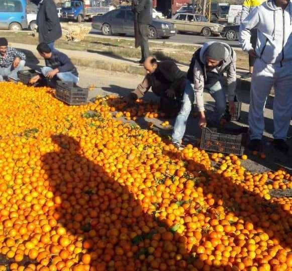 نقابة مزارعي الحمضيات في الجنوب: لحماية انتاجنا
بعدم إعطاء أذونات استيراد للأصناف المتوافرة