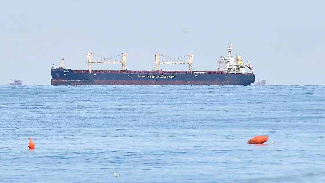 رغم تهديدات موسكو... وصول ثاني سفينة قمح أوكراني إلى تركيا قبل توجهها إلى مصر