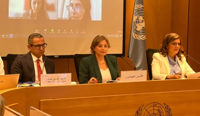 "لجنة المرأة" تابعت أنشطة عمل
الإسكوا المتصلة بقضايا المرأة