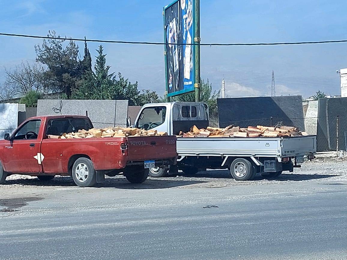 "اغتيال" الغابات في لبنان و"مافيات" قطع الأشجار تتوسّع في عملها التخريبي